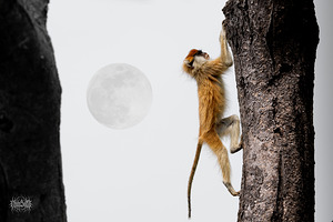 Under the Ugandan Moon