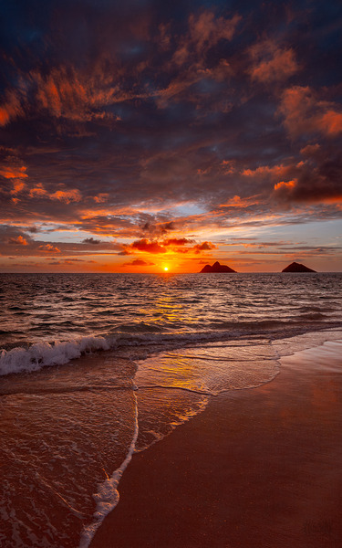 A Hawaiian Welcome by Nate Solo