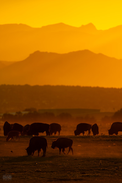 A Rocky Mountain Autumn by Nate Solo