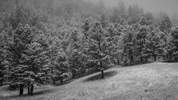 Trippy Landscape Yellowstone National Park by Nate Solo