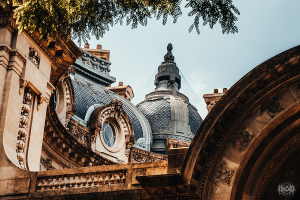 Buenos Aires European AF by Nate Solo