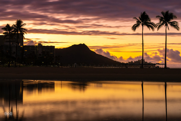 Diamond Brain by Nate Solo