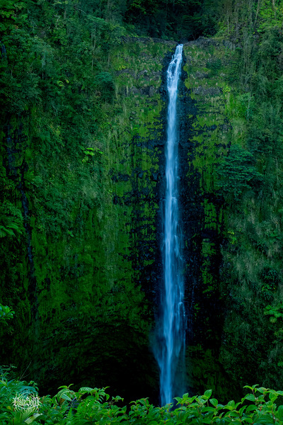 Don t Go Chasing by Nate Solo