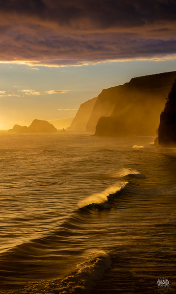 It s Our Time Down Here by Nate Solo