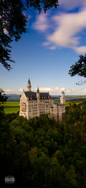 Magic Mushroom Kingdom by Nate Solo