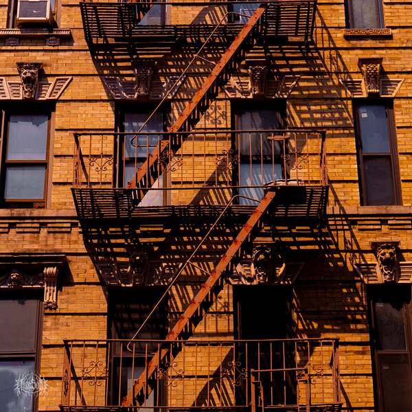 The Anyone Escape Plan Print