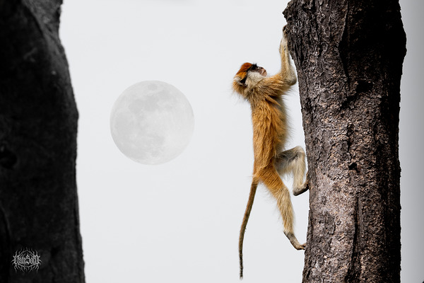 Under the Ugandan Moon by Nate Solo