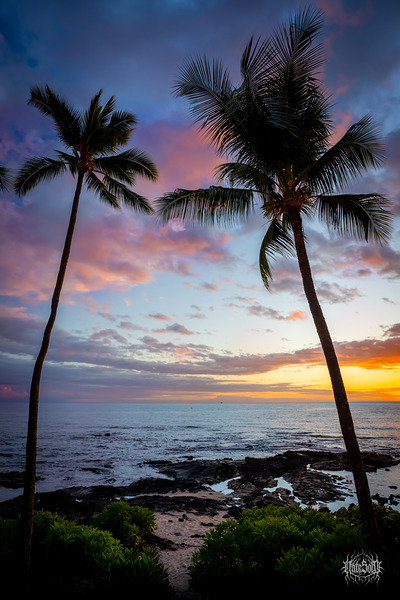 Your Bali Kai by Nate Solo