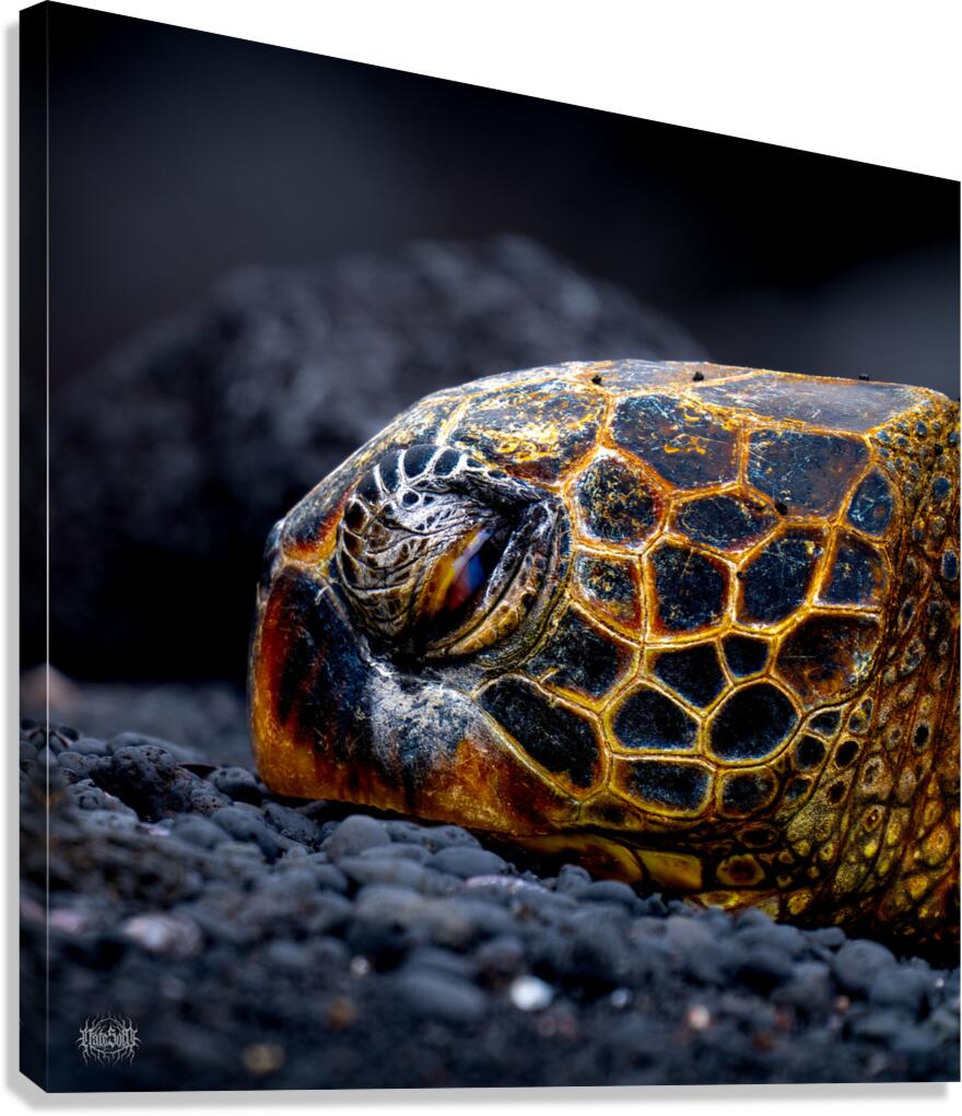 Called in Slick Canvas Print