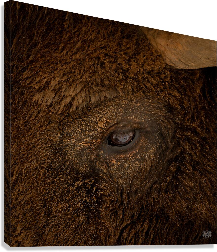 Eye of the Storm Canvas Print