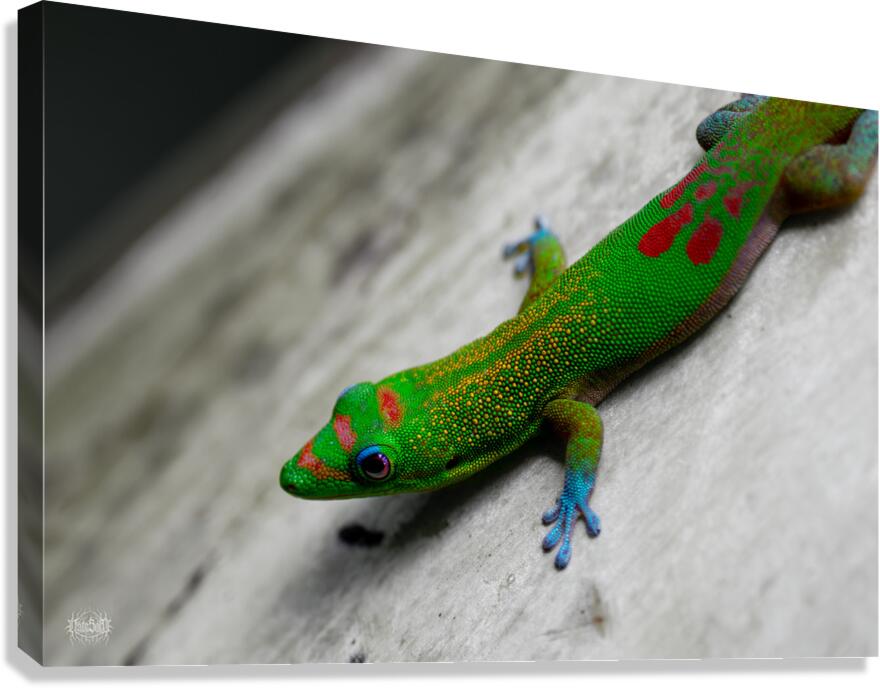 15 Percent or More Canvas Print