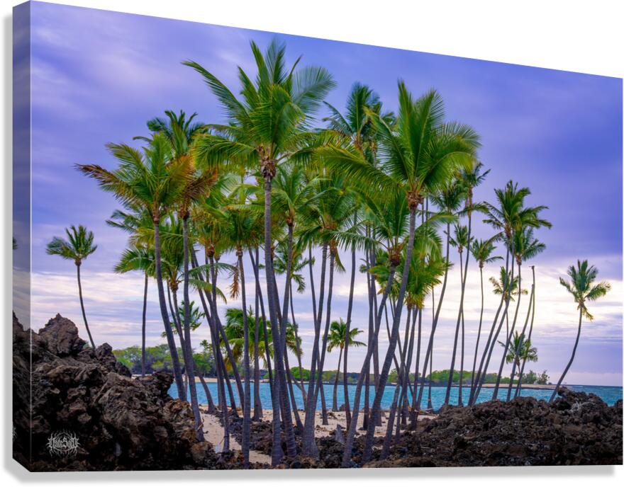 From the Ashes Canvas Print