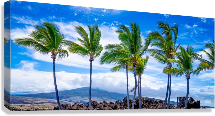 HualaLiars Canvas Print