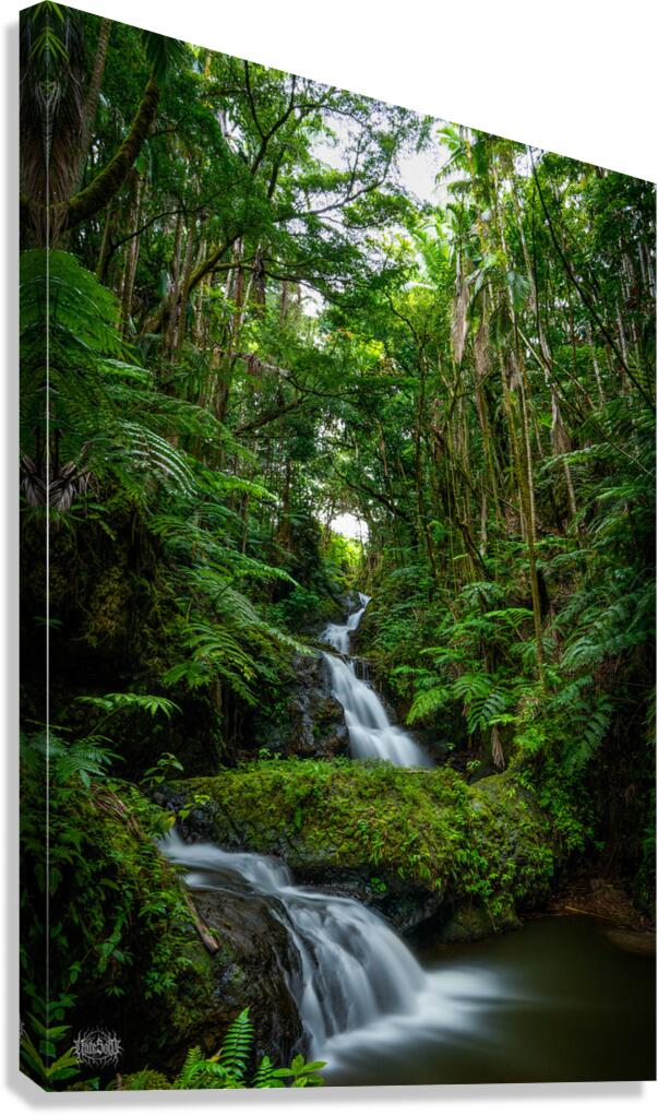 Now You Are Like Me Canvas Print