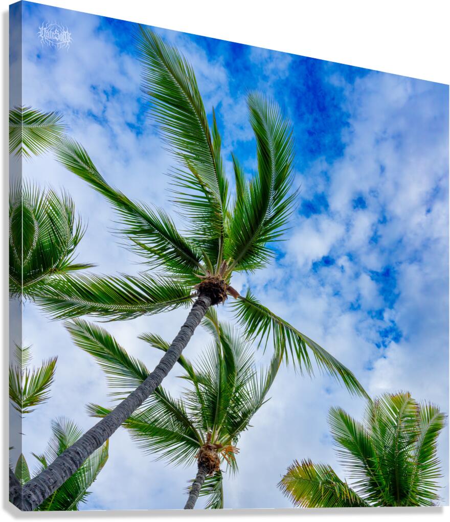 Palm Reader Canvas Print