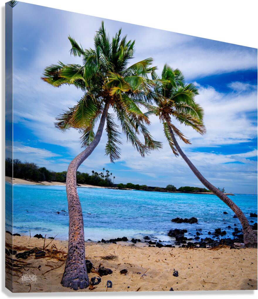 Krenny Lavitz Canvas Print