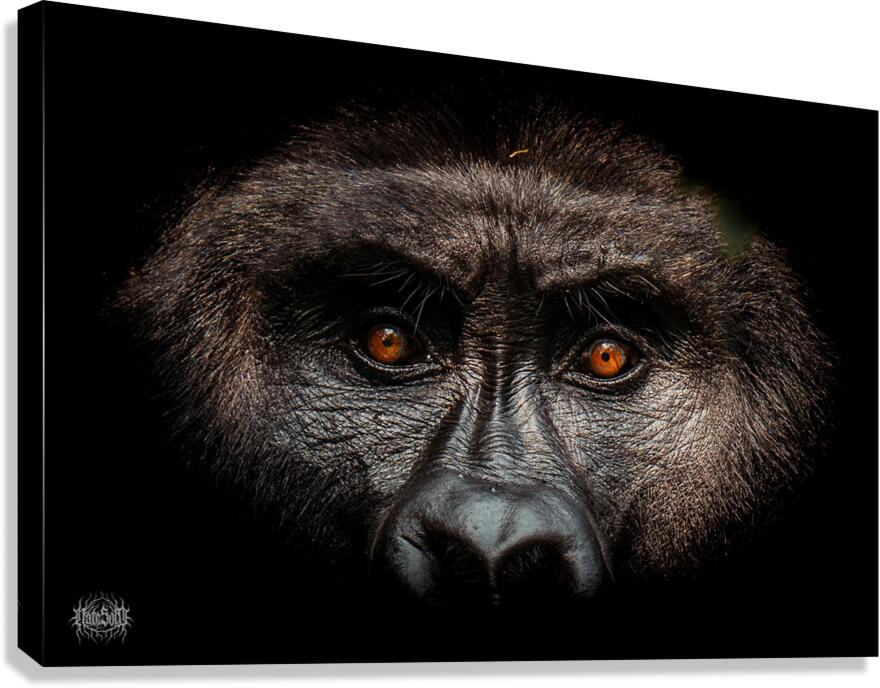 Gaze of Bahati Canvas Print
