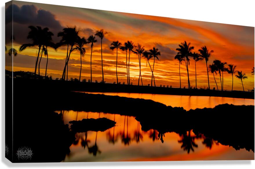 Why Koloa  Canvas Print