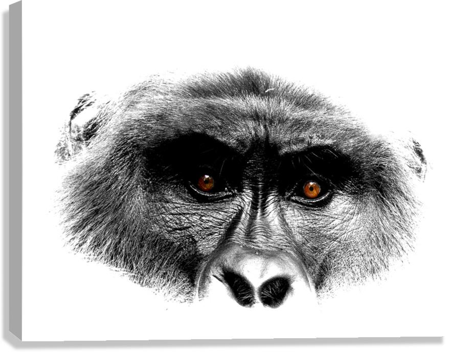 Gaze of Bahati B&W Canvas Print