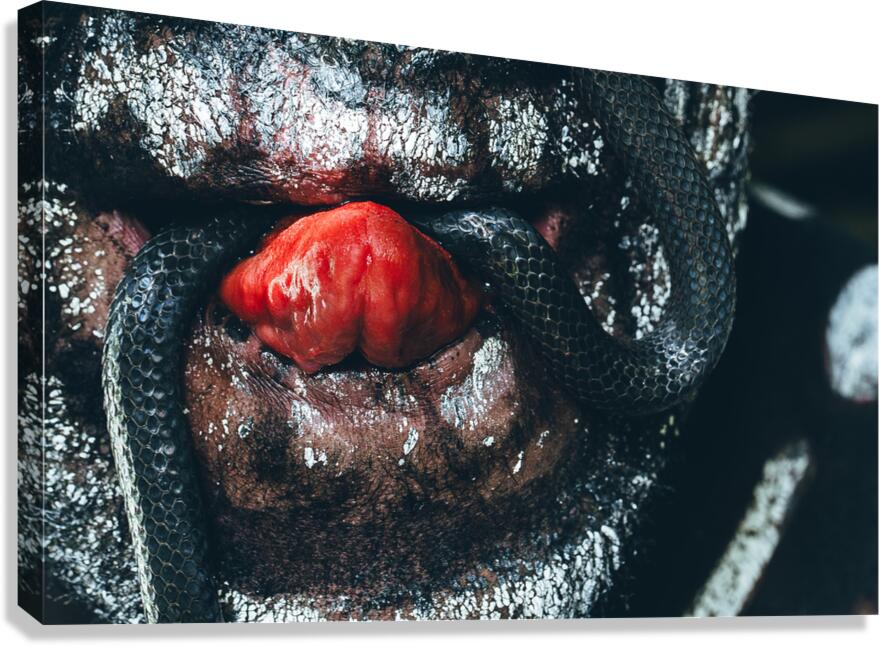 Slither Canvas Print