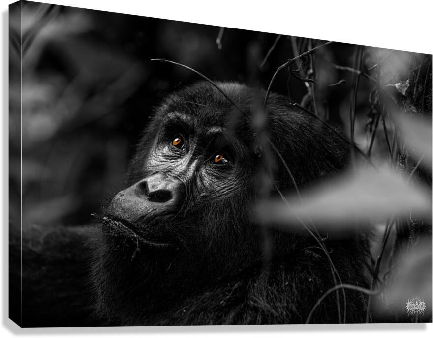 Do You Remember When Canvas Print