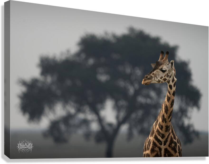 Leopard Moose Camel Canvas Print