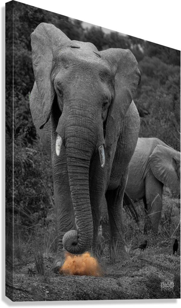 Musthve Been Canvas Print