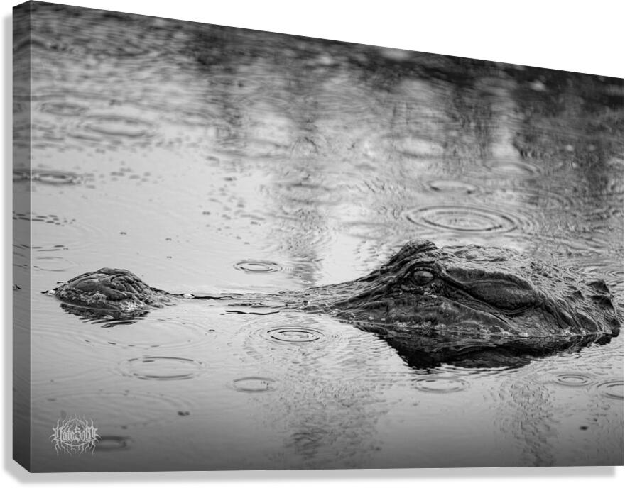 Whos the Real Villian Canvas Print