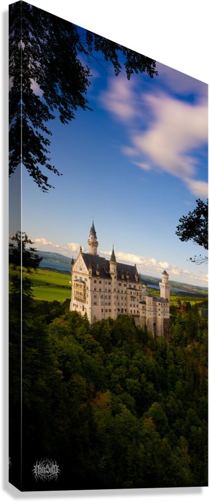 Magic Mushroom Kingdom Canvas Print