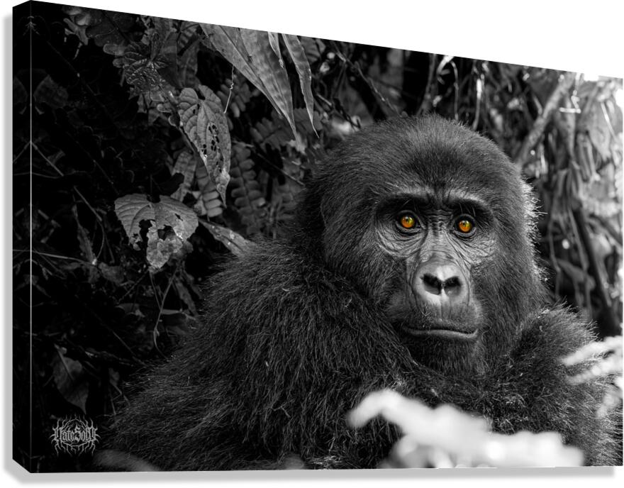 We Are Here Now Canvas Print