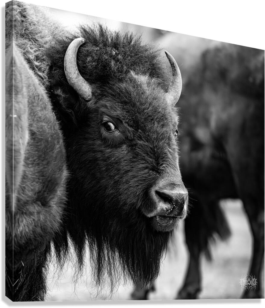 Look Back At It Canvas Print