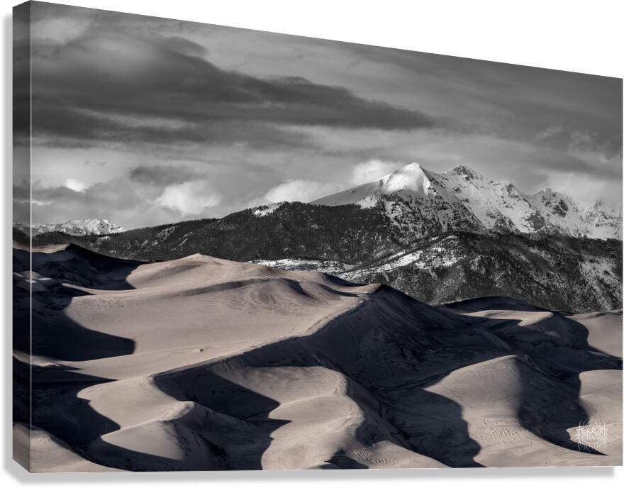 We are so Alike Canvas Print