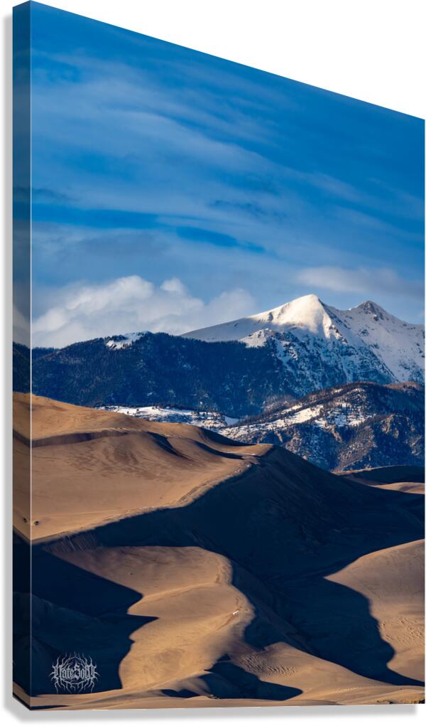 Where They Found Us Canvas Print