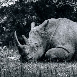 Thanks for Noticin Me