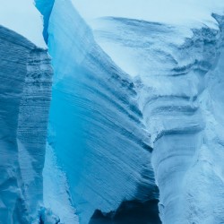 Iceberg Collection  2