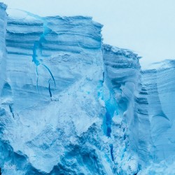 Iceberg Collection  1