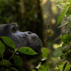 Lookin to Sky to Save Me