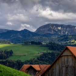 Rollin Rollin Rollin Rollin