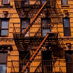 The Anyone Escape Plan