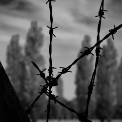 They Cannot Hurt Him Anymore