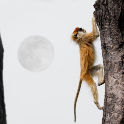 Under the Ugandan Moon