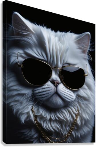 Swag Supreme Persian Cat wearing Gold chain and Aviator