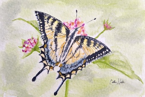 Once Upon a Yellow Wing