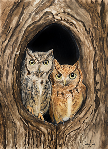 Evening Duet