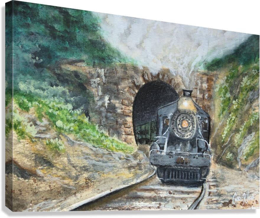 Through the Gap Canvas Print