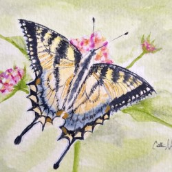 Once Upon a Yellow Wing
