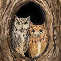 Evening Duet