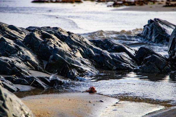 Lifes a beach by Abstract Life Photography