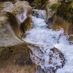 Basin