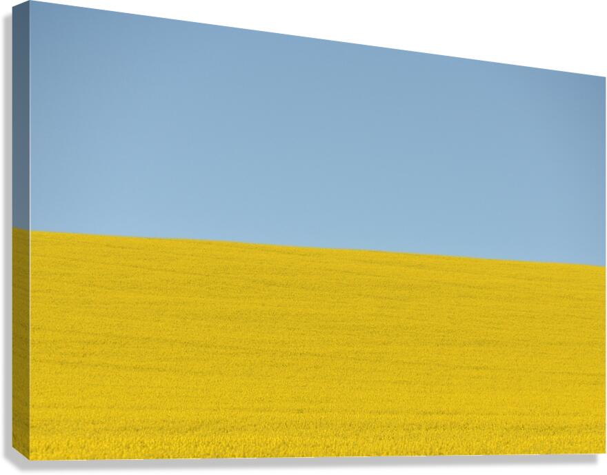 Terra Ukraine Canvas Print